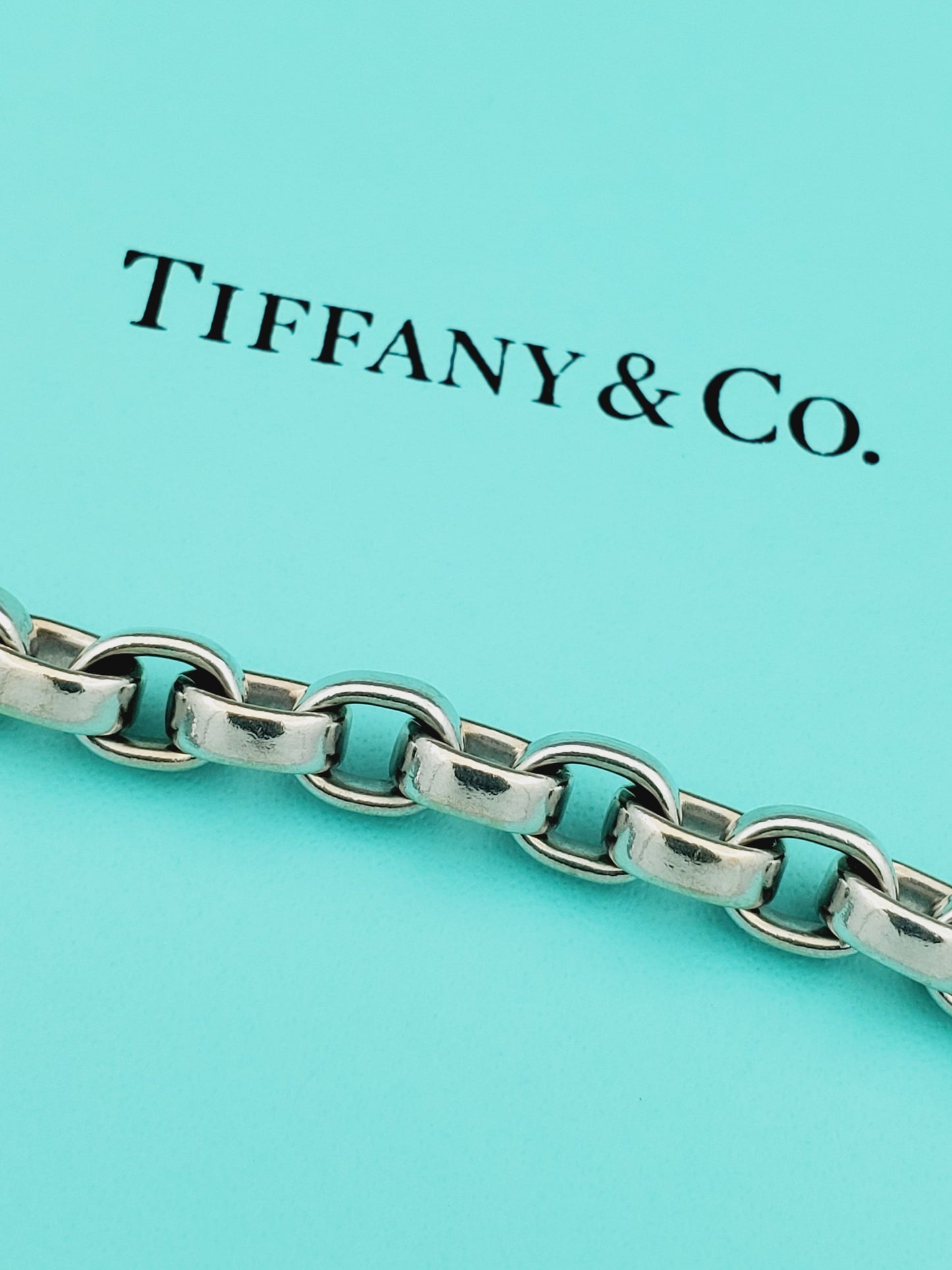 Tiffany & Co. 18K White Gold Oval Link Chain Necklace 20in. 109g.